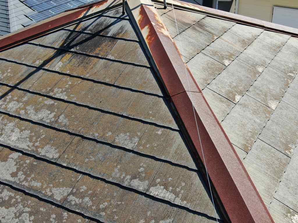 屋根、壁のカビにZEN NO！